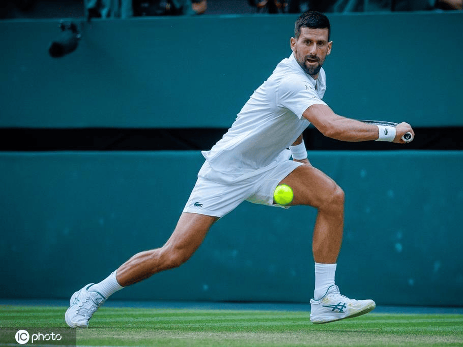 德约科维奇爆冷击败美国队，出色防守引爆全场！的简单介绍